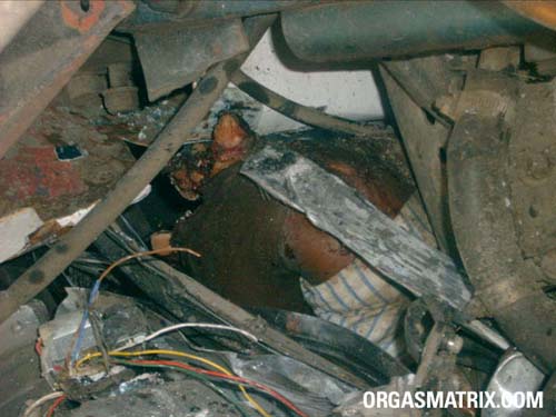 ������������ � ������