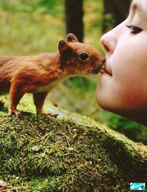 ���������� ������������ (60 ����)